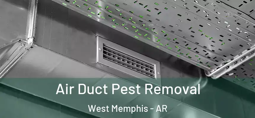  Air Duct Pest Removal West Memphis - AR