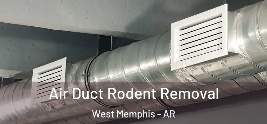 Air Duct Rodent Removal West Memphis - AR