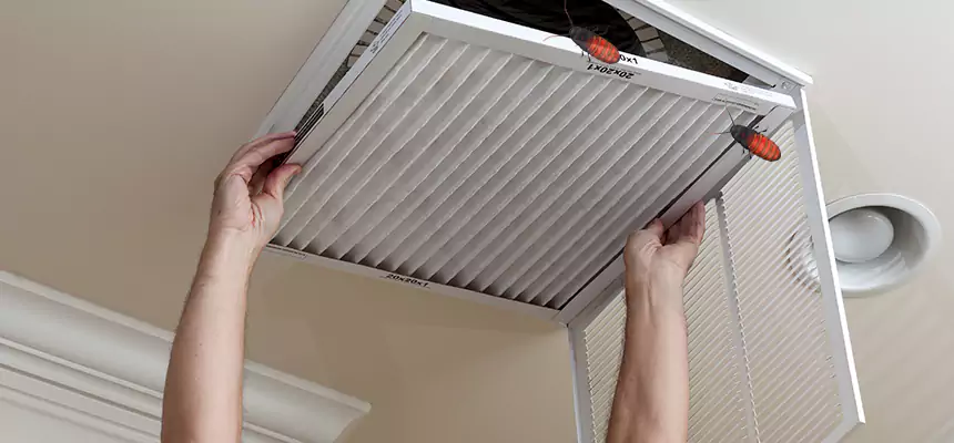 Preventive Cockroach-Proofing for Ducts in West Memphis