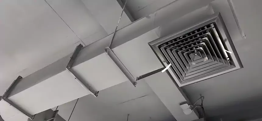 Our Pest Removal From Ducts Services in West Memphis, AR