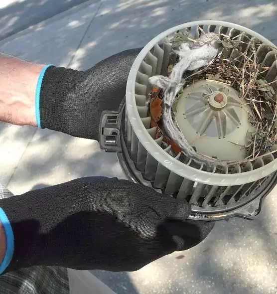 About Air Duct Mice Removal in West Memphis, AR